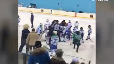 Hockey fight