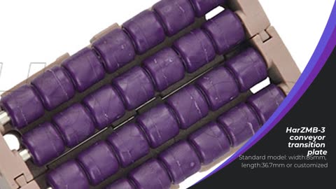 Professional conveyor transition plate manufacturers