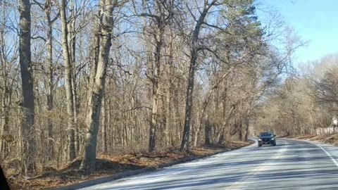 Reconnoitering Suffolk County Rocky Point NYS Hunting Land 2019a.