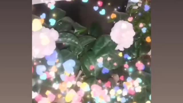 rich flowers