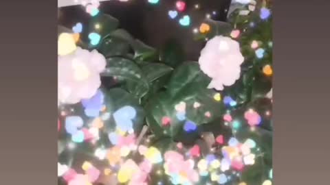 rich flowers