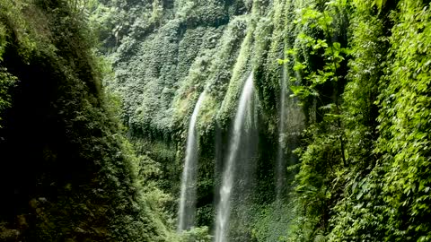 Waterfalls Cascading Through Vine Plants Covering The Cliffs