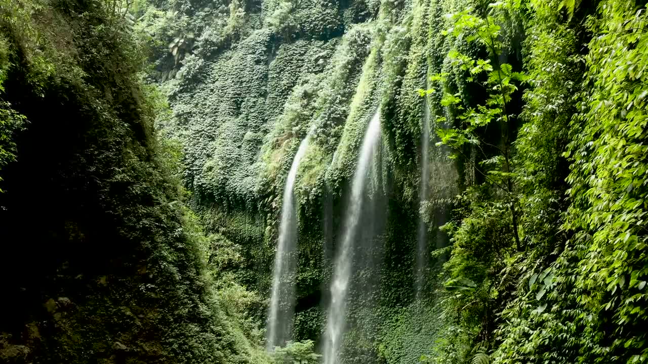 Waterfalls Cascading Through Vine Plants Covering The Cliffs