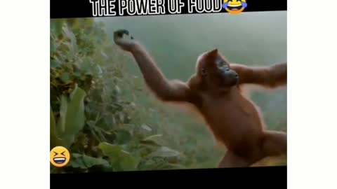 The power of Food. Haha😁😁😁 money dance