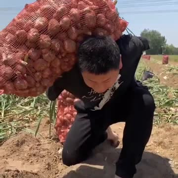 Shorts Video #shorts #funny #shortsvideo #viralshortsvideo #newshortsvideo #newshorts #funnyshorts