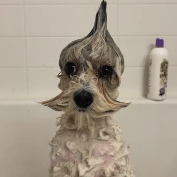 What’s so funny? 😂