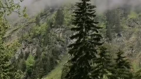 summer rain in the mountains hit different.