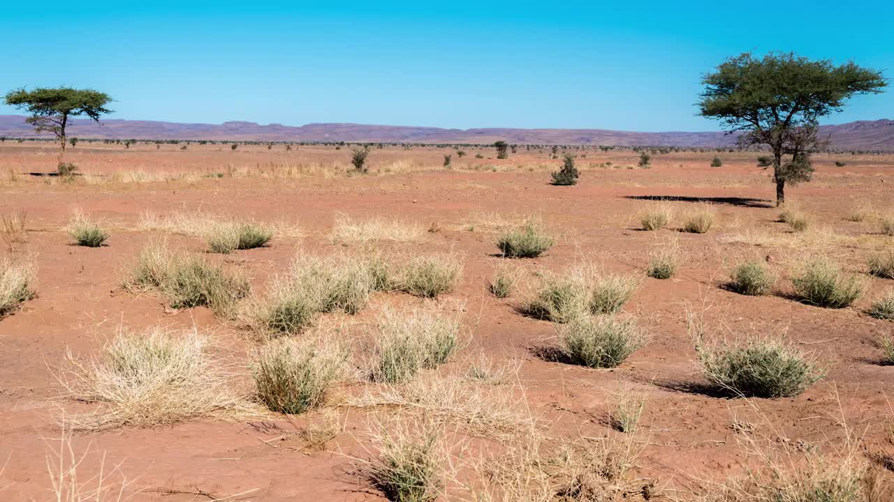 Seul dans le desert Foyers Rives du Rhone