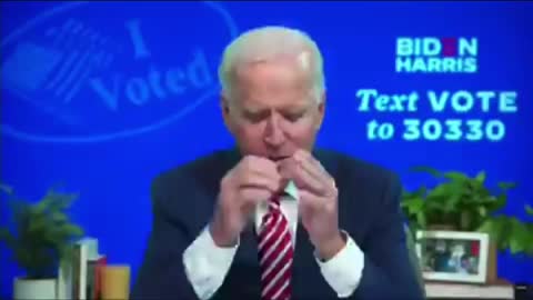 Biden extensive election fraud