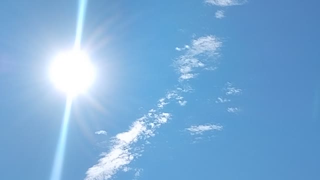 Check out these Sunbeams!