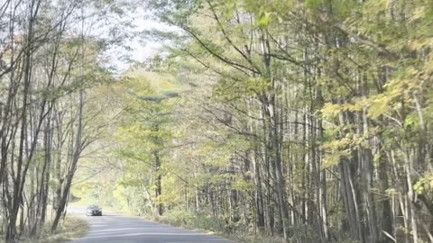 Bible Hill Road Newberrie and Rygate Vermont