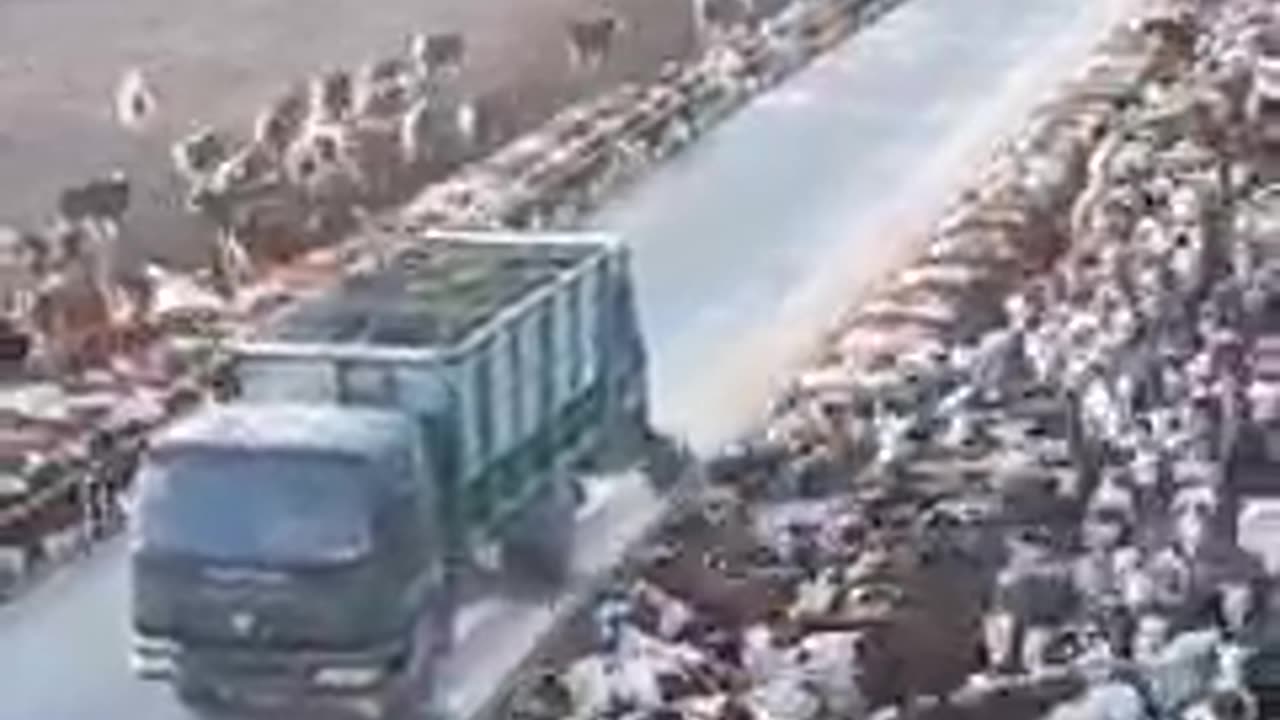 Cow eat with new style