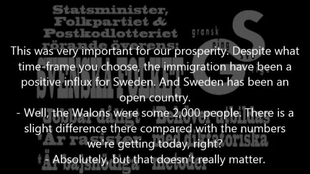 Is the immigration to Sweden profitable - Swedendemocrat chocked by the prime minister's words