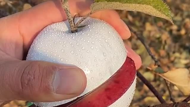 impressionante maça branca stunning white apple