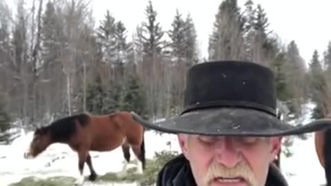 Message to Trudeau from a real Canadian