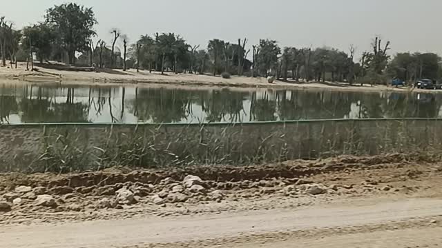 Al Qudra Lake