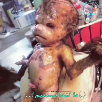 Weird Cryptid, Science Experiment, Mythical Beings, Aliens 👾 or Demons. You decide #4