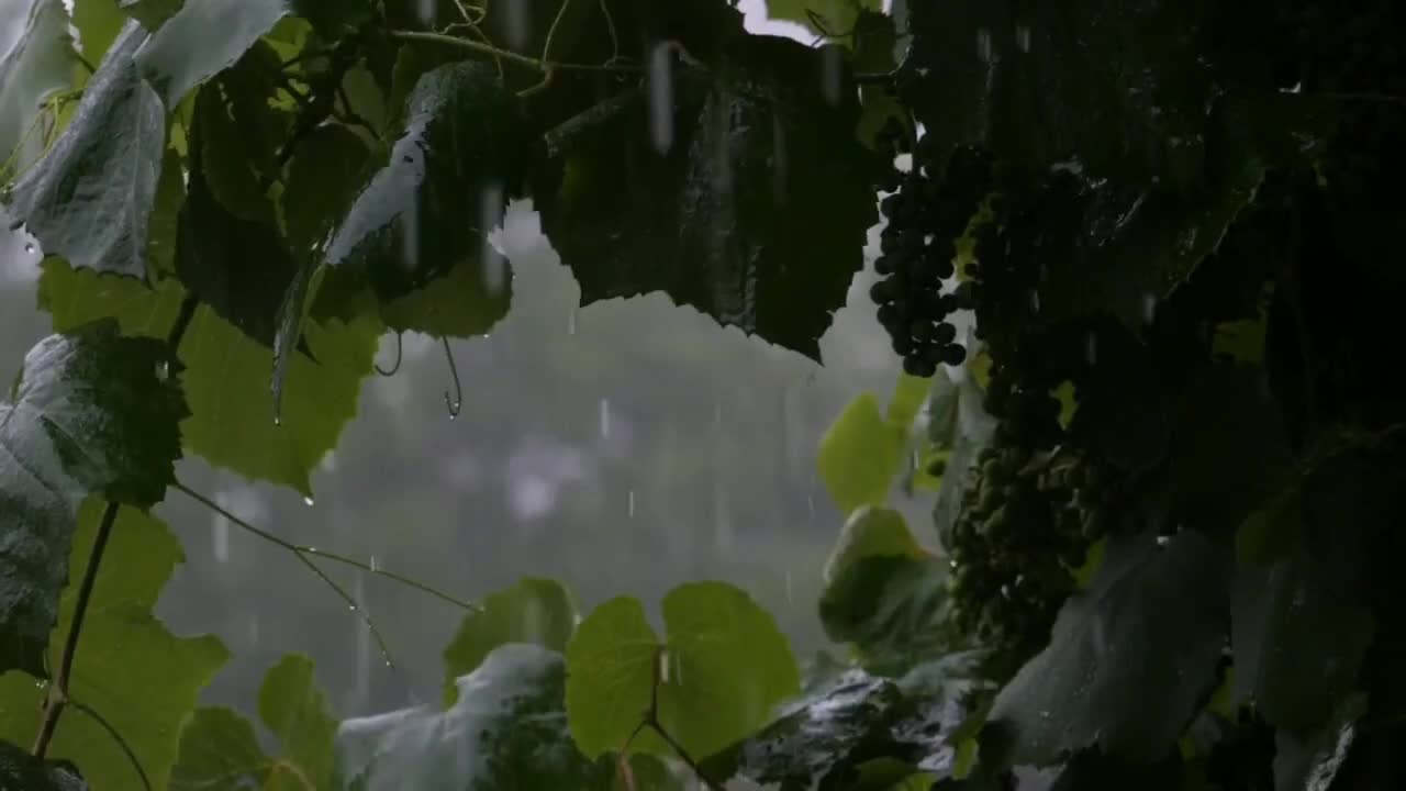 Relaxing Music Raining sound
