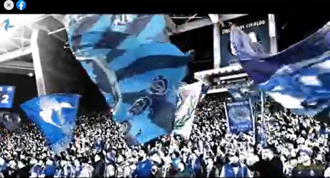 fc porto