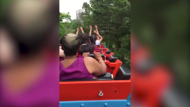 Grandma Loses Her Wig On A Wild Rollercoaster Ride