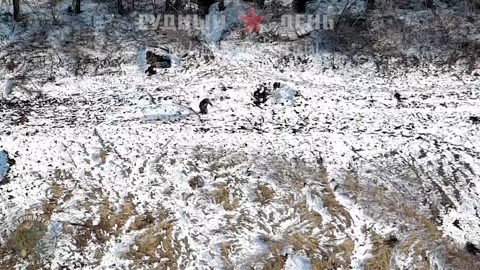 VT-40 Drones Attack AFU Positions