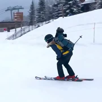 🤣🤣🤣 Here quietly skiing with my owner 🤣🤣🤣