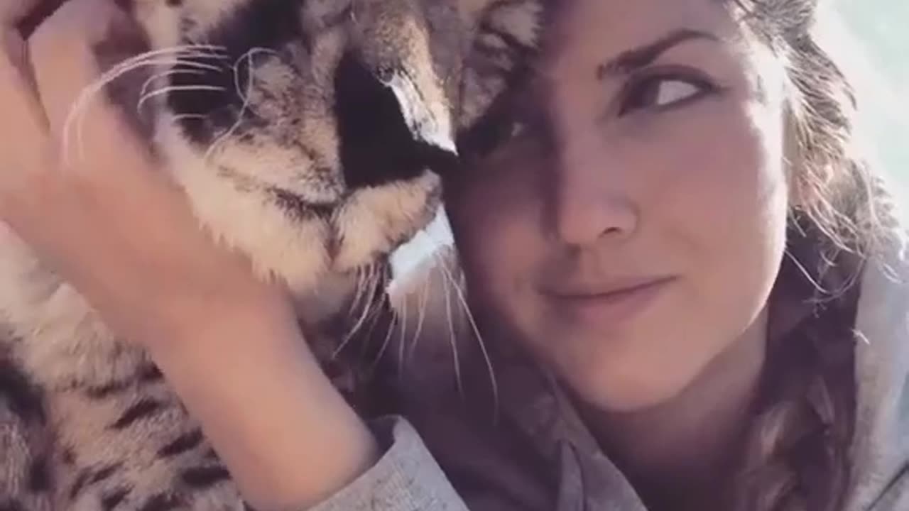 Funny Animals##