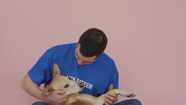 A male Volunteer For Animal Rescue Movement