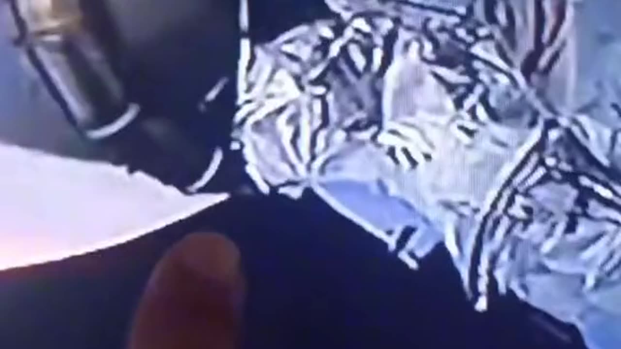 Mouse runs out of a NASA fake space model - live footage lol