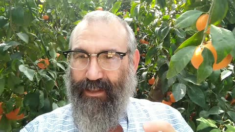 עבודת הקרבנות החסידי