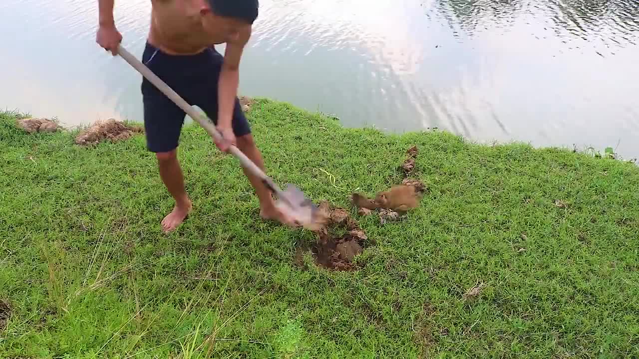 Making Trap To Catch Catfish In The Secret Hole With PVC Pipe & Chicken Eggs-1