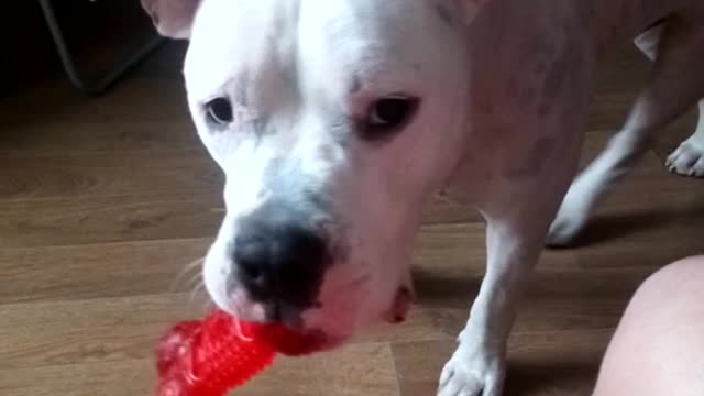 Master play with me