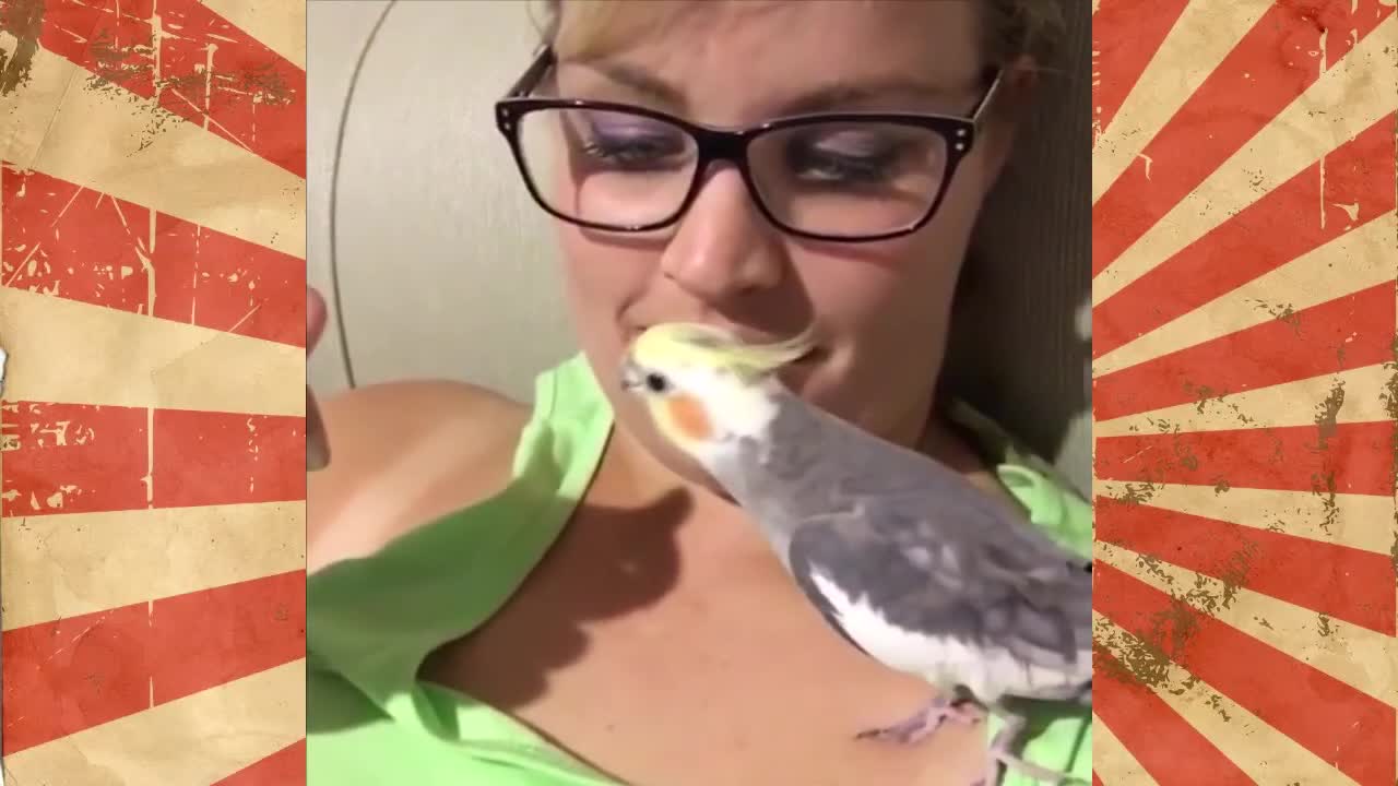 Best Compilation 2021 Funny Birds - So Funny!!!
