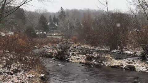 Snow falling by a river