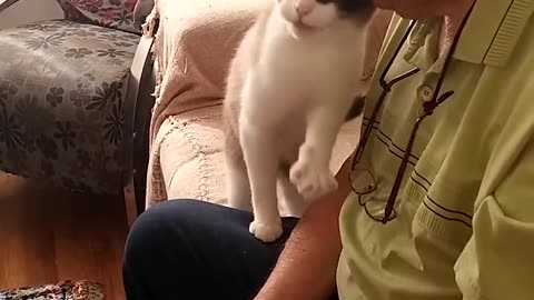 Adorable Grandpa And Cat Pat Each Other