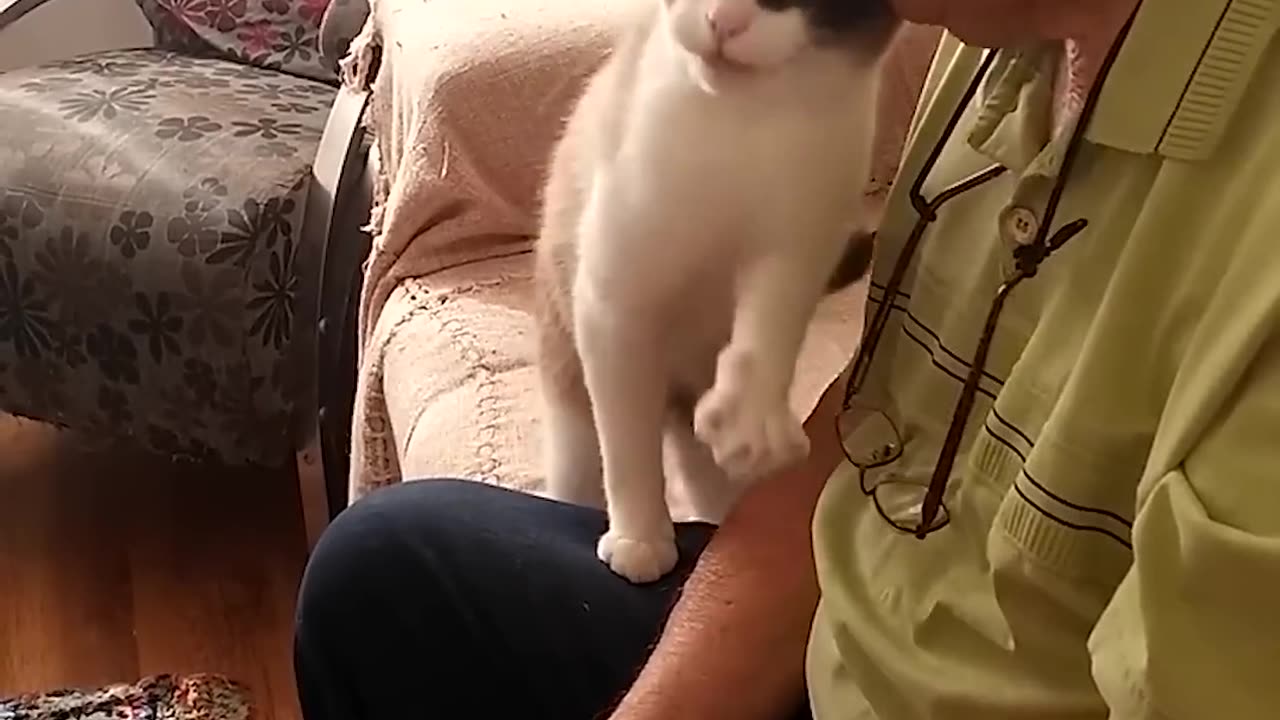 Adorable Grandpa And Cat Pat Each Other