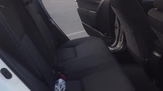 Backseat Dive Stunt Gone Wrong