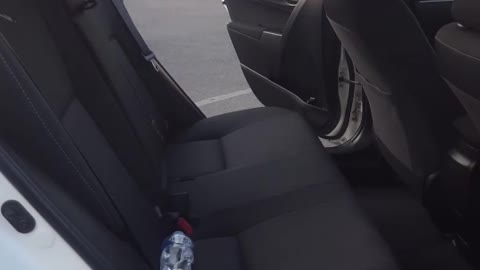 Backseat Dive Stunt Gone Wrong