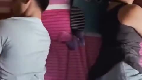 Videos