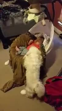 Perro hamaca suavemente a un bebé para que esté cómodo