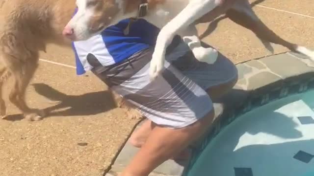 Man carries dog running away from pool