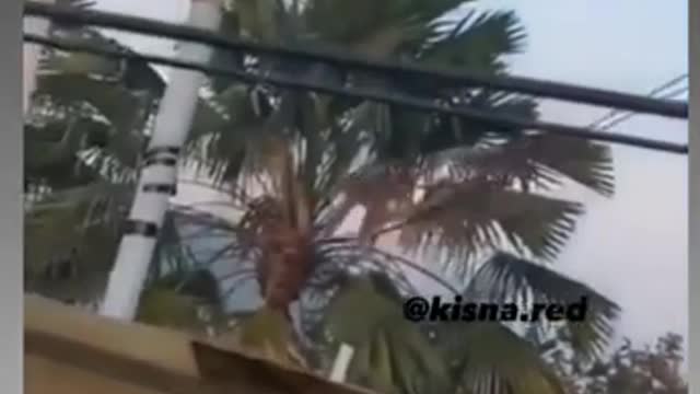 jokes memes jokes on InstagramMP4