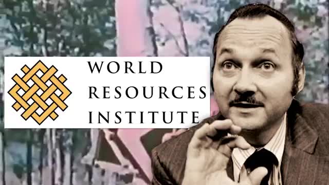 WHY BIG OIL CONQUERED THE WORLD!