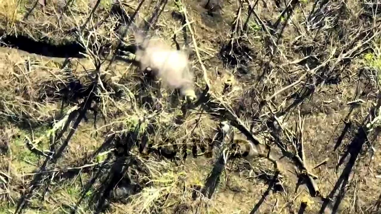 Drone Drops a Grenade on AFU Soldiers Near Urozhaine