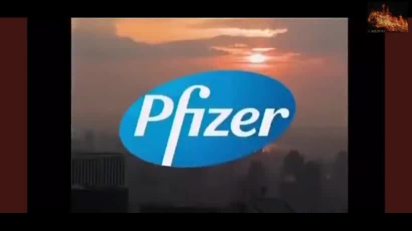 Brought To You By Pfizer