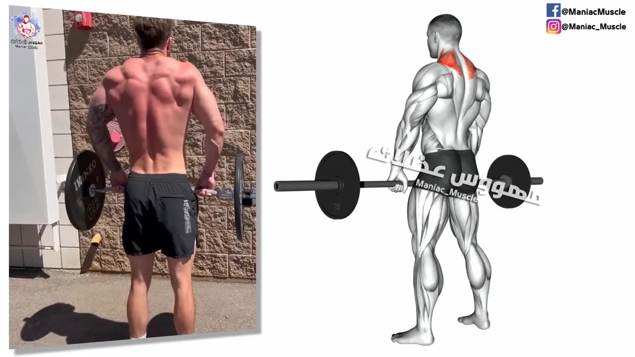 11 Exercise For Bigger SHOULDER AND TRAPS