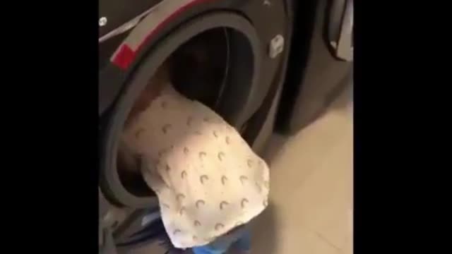 Cute behavior of child picking up clothes in laundry room