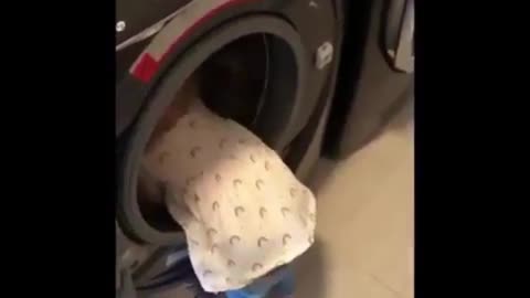 Cute behavior of child picking up clothes in laundry room
