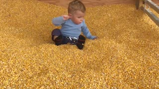 Kid Confused by Corn Kernels at Bottom of Slide