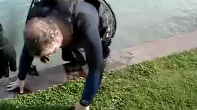 Diving in Marine City